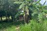 Land for sale in Ao Nang, Krabi