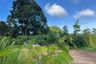 Land for sale in Ao Nang, Krabi