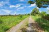 Land for sale in Sai Mun, Nakhon Nayok