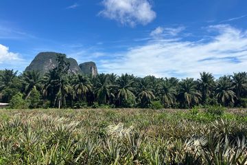 Land for sale in Khao Thong, Krabi