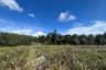 Land for sale in Khao Thong, Krabi