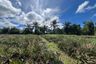 Land for sale in Khao Thong, Krabi
