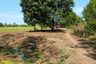 Land for sale in Bang Khamot, Saraburi