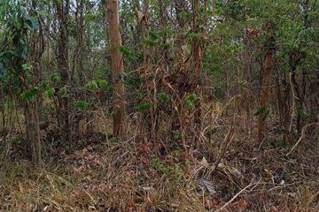 Land for sale in Nong Tak Ya, Kanchanaburi