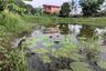 Land for sale in Sali, Suphan Buri