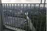 1 Bedroom Condo for sale in Pak Nam, Samut Prakan near BTS Srinagarindra