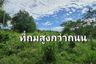 Land for sale in Nong Ri, Chonburi