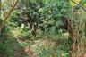 Land for sale in Ban Suan, Chonburi