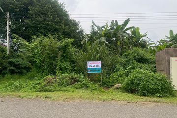 Land for Sale or Rent in San Maha Phon, Chiang Mai