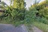Land for sale in Nong Kom Ko, Nong Khai