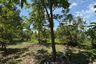 Land for sale in Sai Yai, Nonthaburi