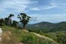 Land for sale in Bo Phut, Surat Thani