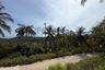 Land for sale in Bo Phut, Surat Thani