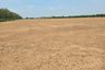 Land for sale in 