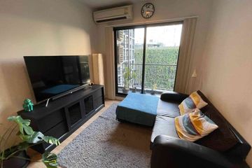 1 Bedroom Condo for rent in The Seed Mingle, Thung Maha Mek, Bangkok near MRT Lumpini