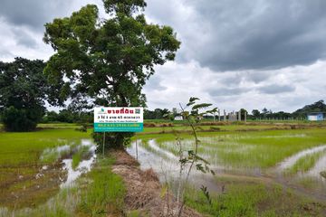 Land for sale in Phrommani, Nakhon Nayok