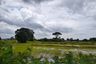 Land for sale in Phrommani, Nakhon Nayok
