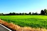 Land for sale in Sai Mun, Nakhon Nayok