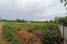Land for sale in Li, Lamphun