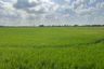 Land for sale in Khlong Preng, Chachoengsao