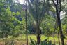 Land for sale in Khao Thong, Krabi
