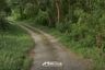 Land for sale in Chamaep, Phra Nakhon Si Ayutthaya