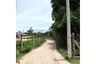 Land for sale in Maret, Surat Thani