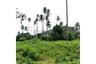 Land for sale in Maret, Surat Thani