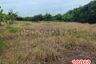 Land for rent in San Chao Rong Thong, Ang Thong