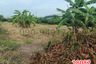 Land for rent in San Chao Rong Thong, Ang Thong