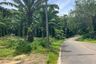 Land for sale in Khao Thong, Krabi