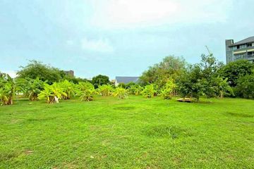 Land for sale in Nong Prue, Chonburi