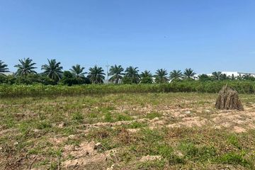 Land for sale in Bueng, Chonburi