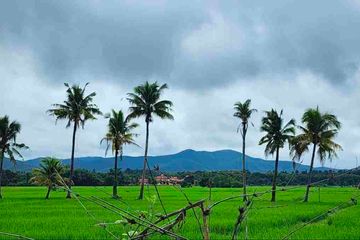 Land for sale in Luang Nuea, Chiang Mai