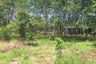 Land for sale in Kram, Rayong