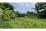 Land for sale in Na Mueang, Surat Thani