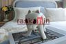 Condo for rent in Lumpini Ville Naklua - Wongamat, Na Kluea, Chonburi