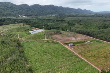 Land for sale in Na Yai Am, Chanthaburi