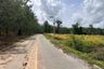 Land for sale in Na Yai Am, Chanthaburi