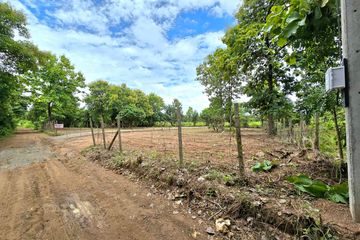 Land for sale in Makhuea Chae, Lamphun