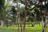 Land for sale in Mae Khue, Chiang Mai