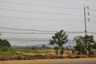 Land for sale in Nang Lae, Chiang Rai
