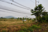 Land for sale in Nang Lae, Chiang Rai