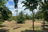 Land for sale in Phanat Nikhom, Chonburi