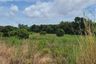 Land for sale in Bo Win, Chonburi