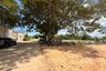 Land for sale in Tha Sala, Chiang Mai