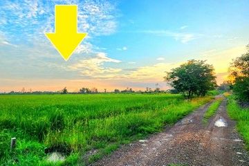 Land for sale in Sai Mun, Nakhon Nayok