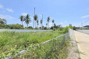 Land for sale in Nong Prue, Chonburi