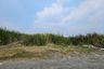 Land for sale in Nong Bon, Bangkok