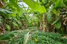 Land for sale in Suan Luang, Bangkok